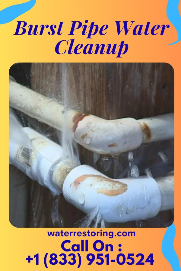 Burst Pipe Water Cleanup in Mount Vernon, IA