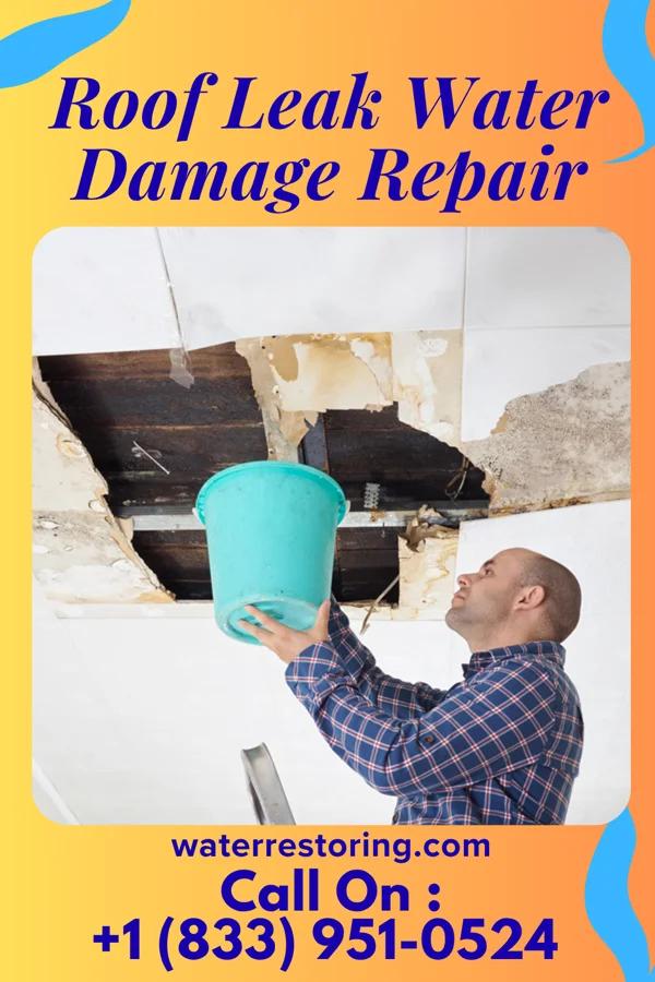 Roof Leak Water Damage Repair in Mount Vernon, IA